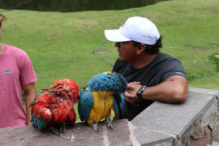 Cusco: visita el centro rescate de animales