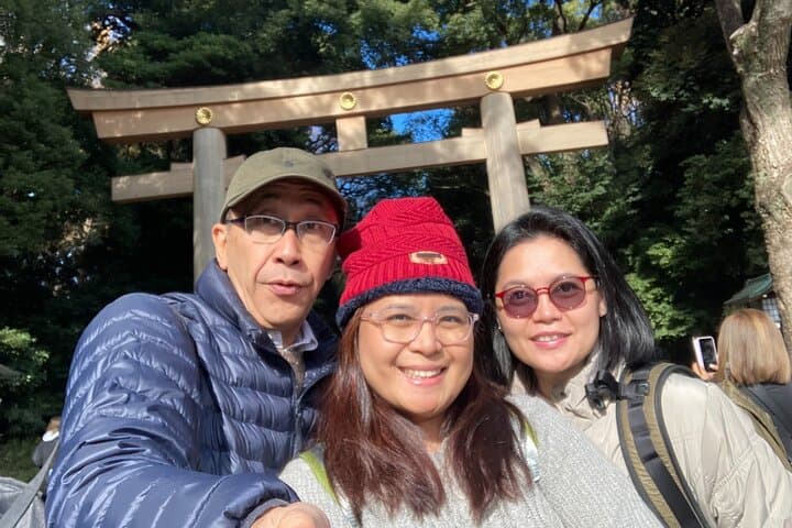 Tokyo Pop Culture & Tradition Tour: Meiji Shrine to Harajuku