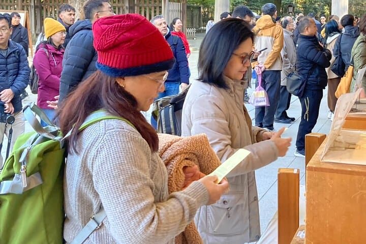 Tokyo Pop Culture & Tradition Tour: Meiji Shrine to Harajuku