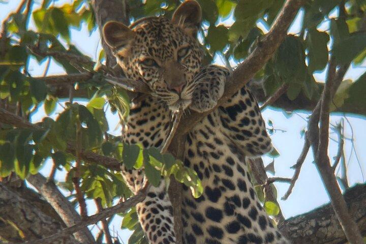 2 Days 1 Night Mikumi National Park From Dar es salaam by (SGR)
