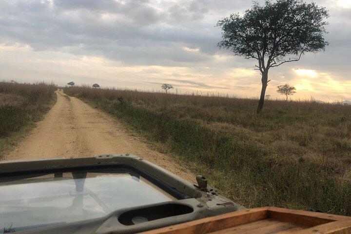 2 Days 1 Night Mikumi National Park From Dar es salaam by (SGR)