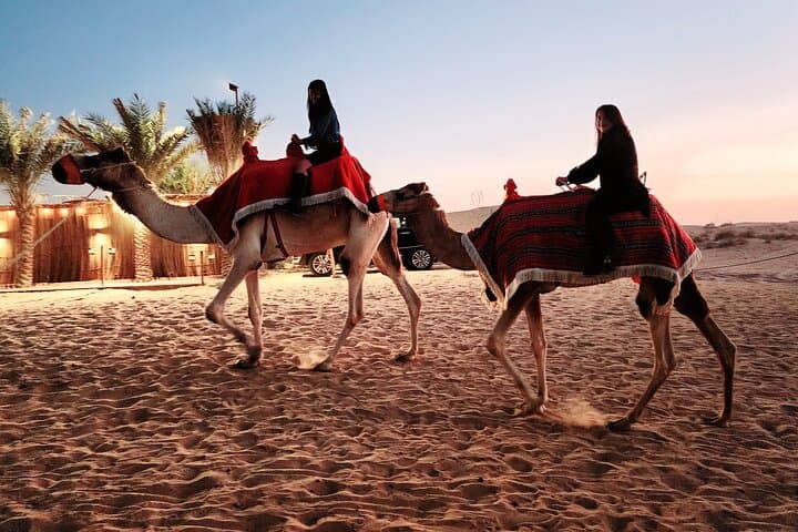 Desert Safari Dubai Red Dunes with BBQ VEG Dinner