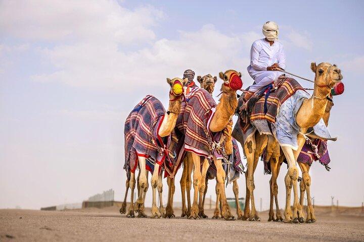 Vip Red Dunes Desert Safari Pick/Drop Camel Ride Dinner & Shows