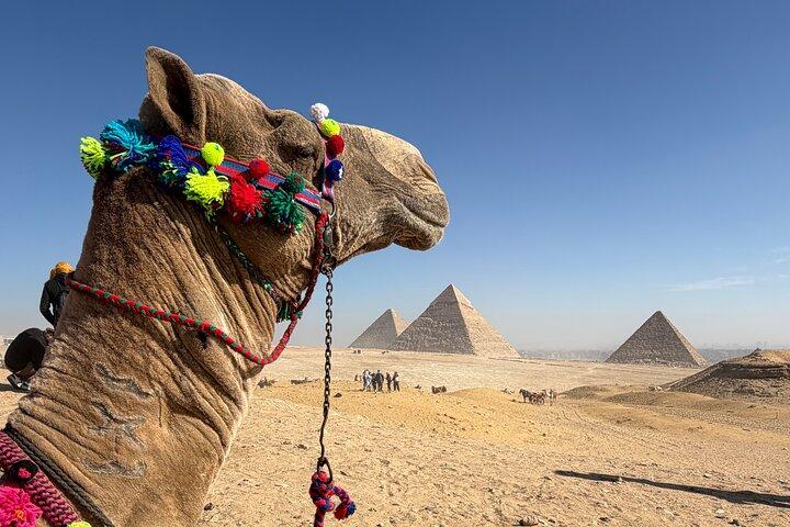 Vip Giza pyramids, Sphinx , Grand new museum from Alexandria Port