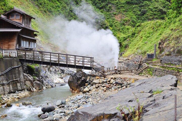 Nagano: Snow Monkeys of Jigokudani Guided Tour