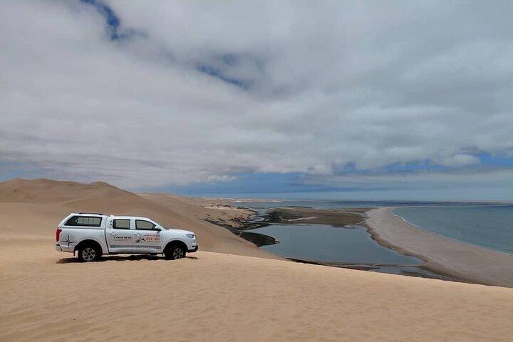 Sandwich Harbour Adventure: Seals and Sandwich harbour dune drive
