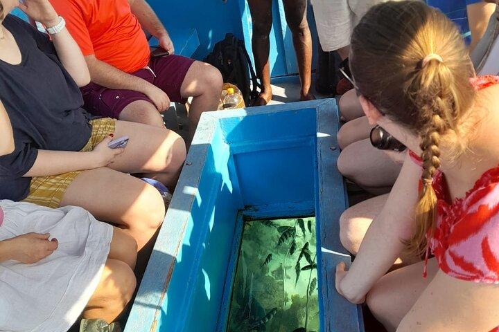 Elky Diani Glass Bottom Tour to Robinson Island