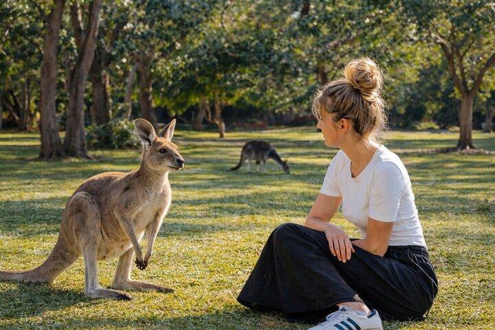 Stradbroke Island Eco Day Trip from Brisbane – Wildlife & Beaches