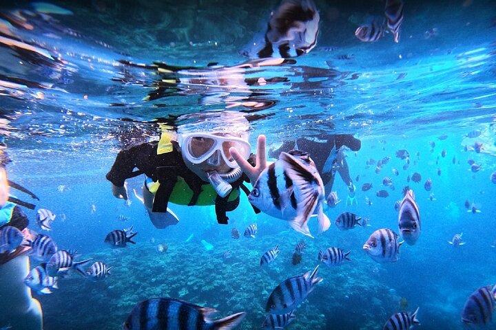 Okinawa Blue Cave Snorkeling Adventure with Free Photos