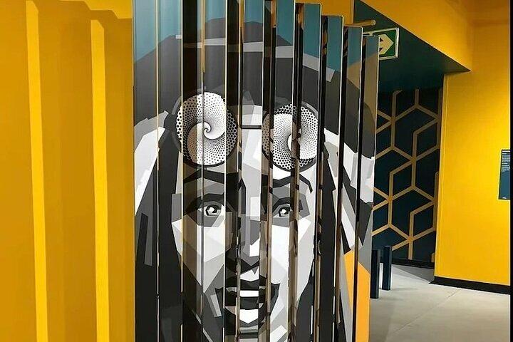 A Day of Wonder and Discovery at the Museum of Illusions