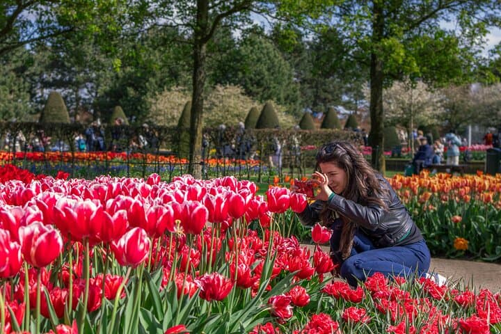 Amsterdam: Keukenhof Entry & Shuttle Bus with Flexible Return