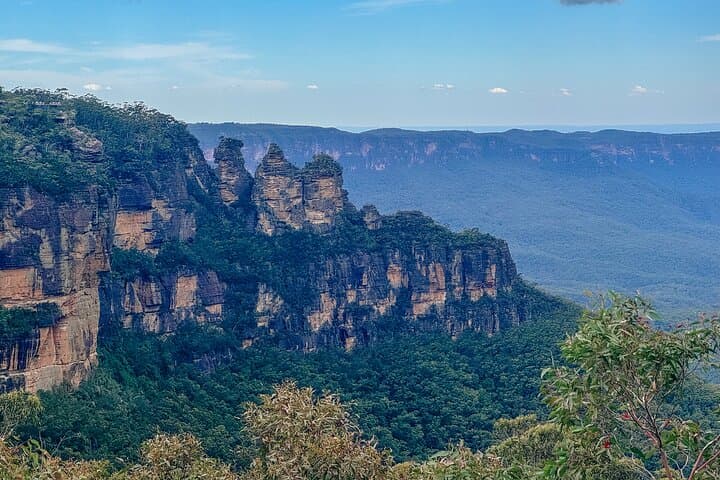 Blue Mountains Private Tour: Scenic World, Wildlife & Koala Photo