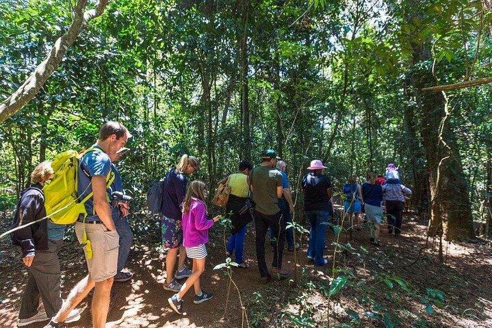 Nairobi: Kiambethu Tea Farm Tour with Lunch