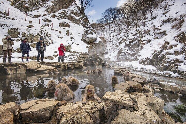 Nagano Day Tour from Tokyo Zenko Ji Temple and Snow Monkeys