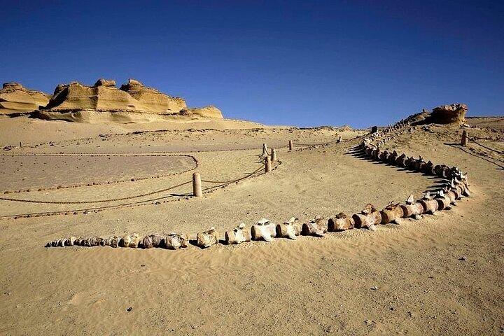 Private Tour to El Fayoum