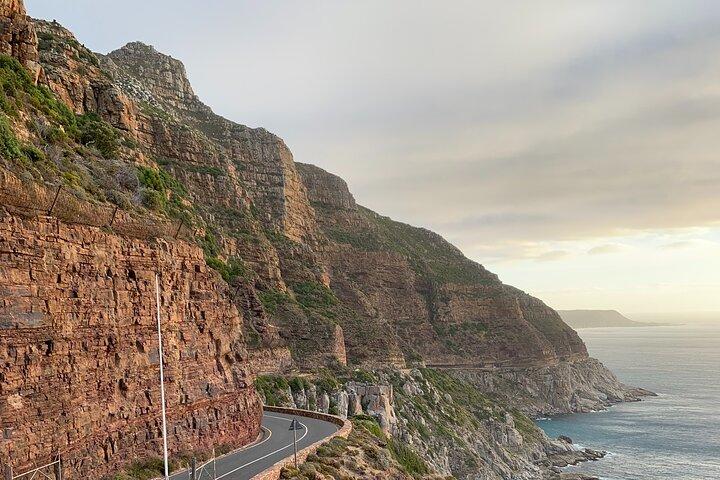 Full Day Private Cape Town and Peninsula Tour