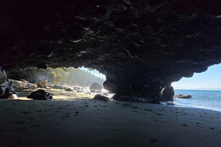 West Coast Wildlife Rainforest Waterfall and Beaches