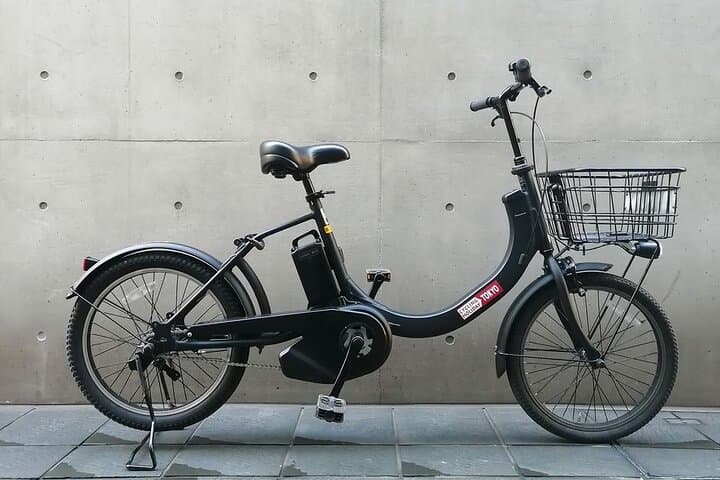 Asakusa Ryogoku and Local Streets Tokyo E-Bike Tour