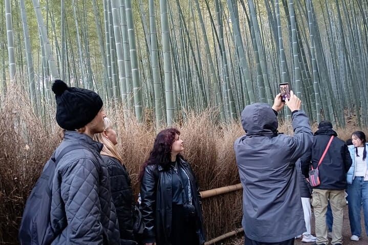 Kyoto 1 Day Golden Route Bus Tour