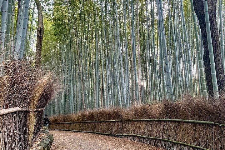 Experience Kyoto Katsura River boat Adventure in Arashiyama