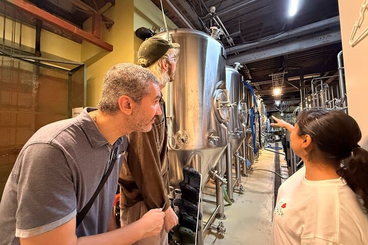 Osaka: Craft Beer Tour with Tastings