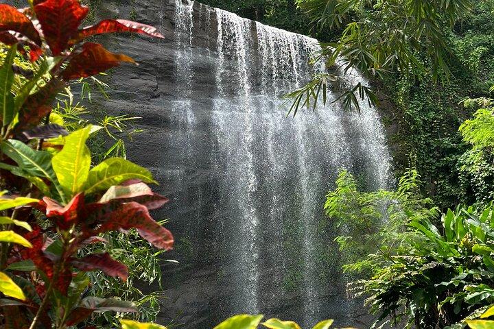 Chasing Waterfalls in Grenada Hike and Adventure Tours