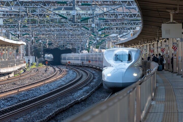 Mt. Fuji and Hakone Private Day Tour by Bullet Train and Car