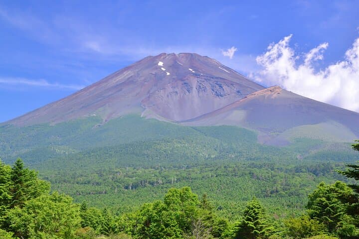 Mt. Fuji and Hakone Private Day Tour by Bullet Train and Car