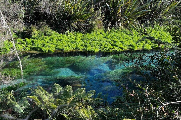 Auckland: WAI O TAPU Rotorua, Polynesian Spa & Blue Springs Tour