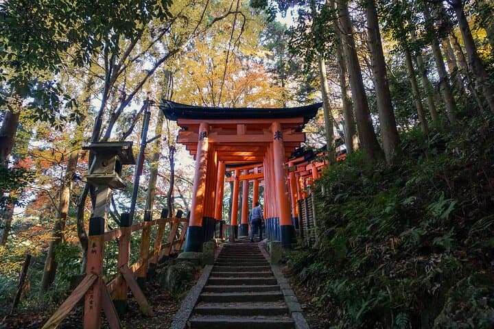 Kyoto: Fushimi Inari Hidden Hike (Private)