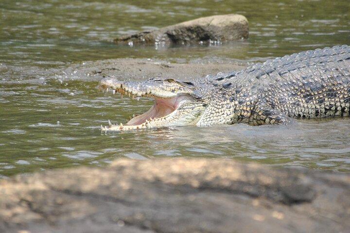 Private 2 Hour River Safari on the Bentota River