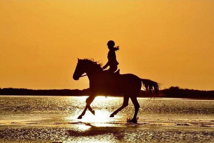 Horse Riding in Side - Horse Tour in Manavgat Forest and Beach