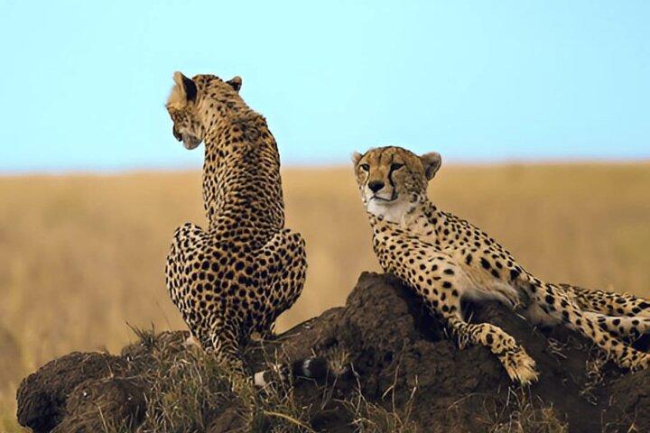 3 Day Flyin/Flyout of Zanzibar Tarangire, Ngorongoro & Manyara
