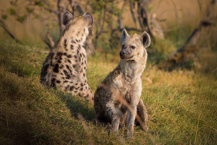 3 Day Flyin/Flyout of Zanzibar Tarangire, Ngorongoro & Manyara