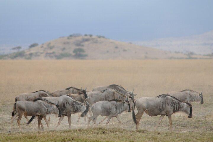 3 Day Safari of Amboseli National Park