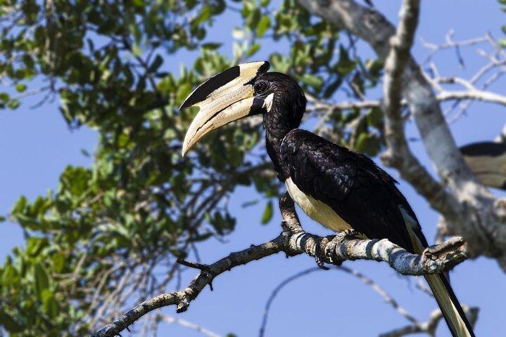 Exclusive: 2 Nights Family Treehouse Experience with Yala Safaris