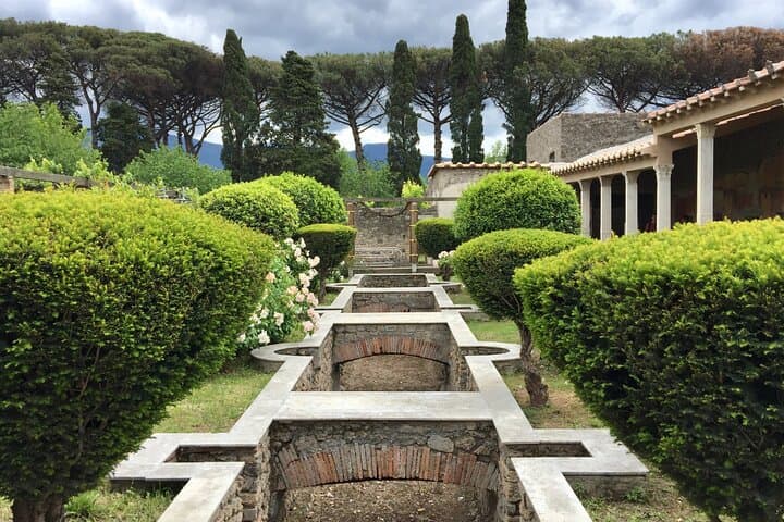 TOP Pompeii : Private Guided Tour with your mobile