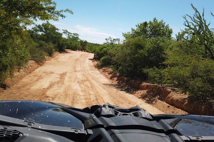 Extreme Baja Off-Road to Cabo Pulmo Diving — Pickup Anywhere