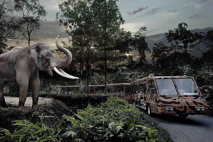 Singapore Night Safari Admission Ticket with Tram Ride E-Ticket