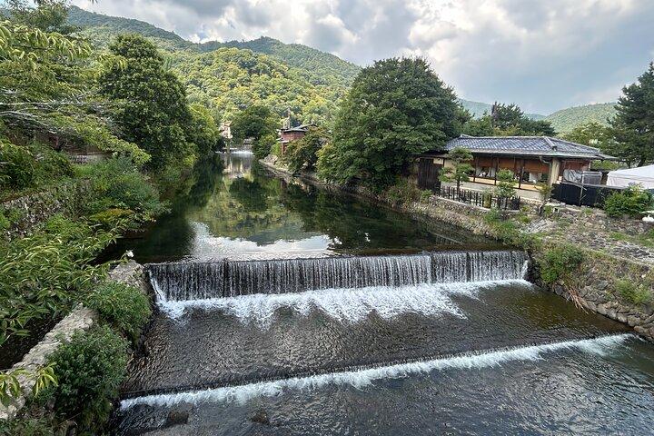 Arashiyama Morning Escape Bamboo Grove and Zen Temple