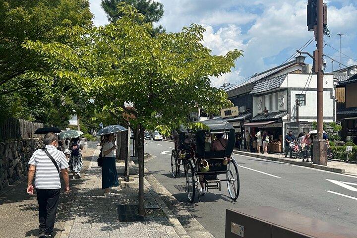 Arashiyama Morning Escape Bamboo Grove and Zen Temple