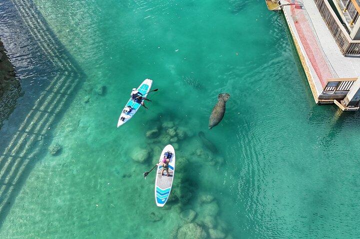 Peanut Island Sunrise Paddle Boarding Adventure