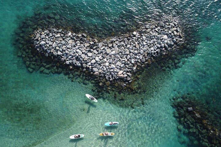 Peanut Island Sunrise Paddle Boarding Adventure