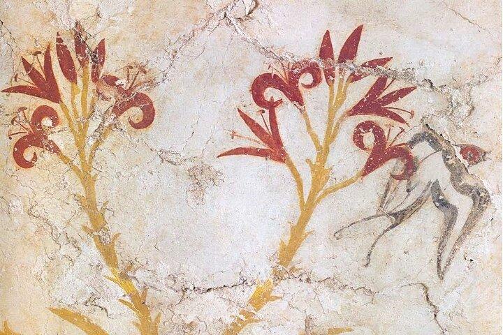Explore Prehistoric Town of Akrotiri with Guide (skip the line)