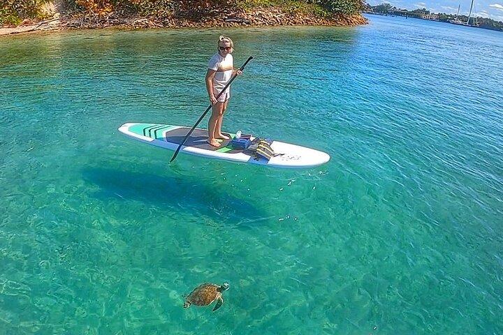 Peanut Island Sunrise Paddle Boarding Adventure