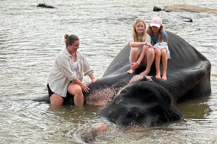 Sri Lanka 3 to 15 Days Tour with Driver | Sri Lankan Vibe Tours