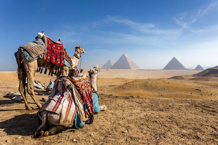 Arrival transfer from Cairo airport