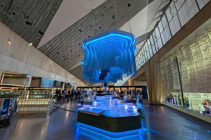 VIP Grand Egyptian Museum King Tut Gallery Solar Boat and Lunch