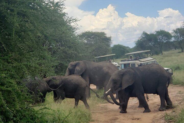 Ngorongoro Crater 3 Day Private Tour