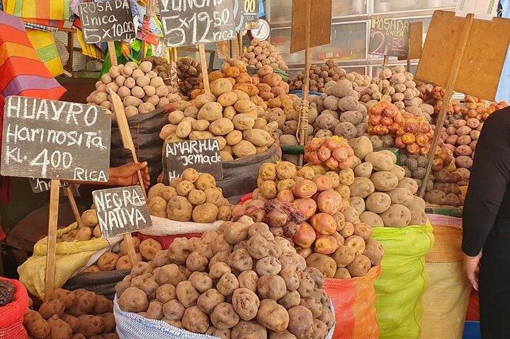 Arequipa : Food Tour and History (3 Restaurants and Market)